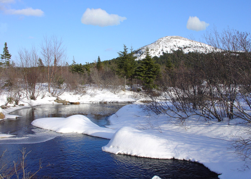 <B>Cold Water... Cold Earth... Cold Sky...</b>