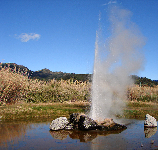 Natures Heat*