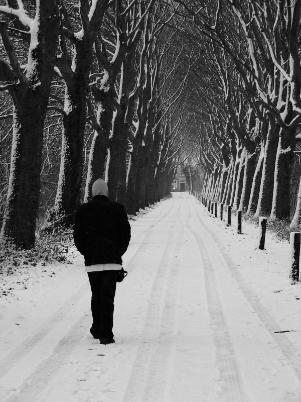 I prefer to walk*<br> by Patty88 - mod #2
