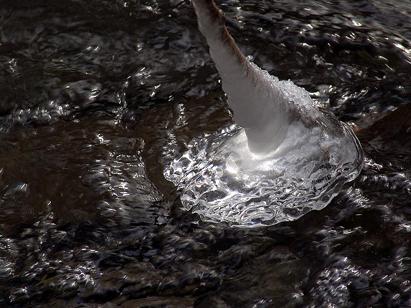 Unusual Icicle