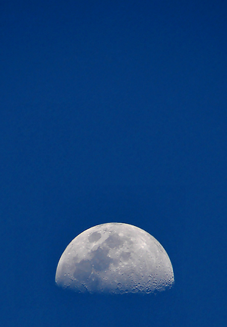 <b>8th Place [tie]</b><br>moon