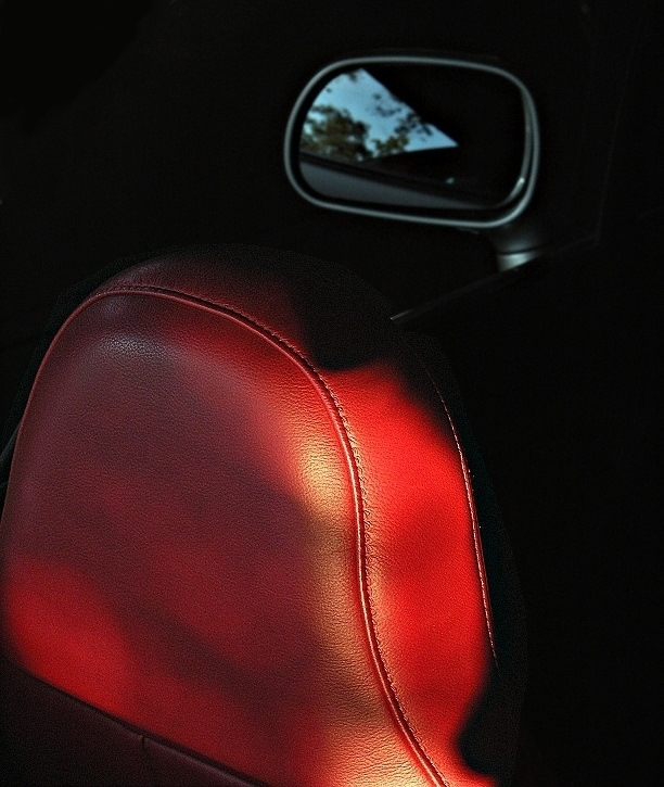 Red Leather *<br>by Nifty