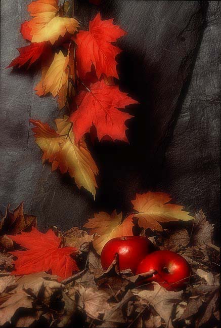 6th place<br>Autumn Still Life