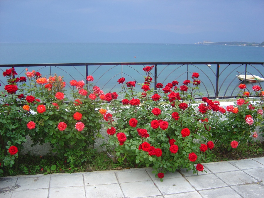 Mediterranean Spring<br>by RUcrAZ