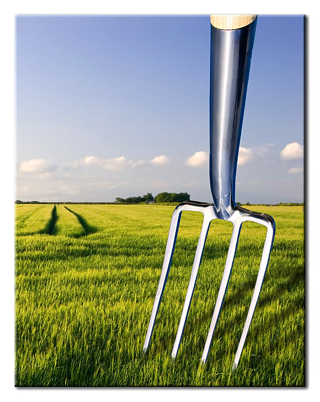 <b class=winner>3rd</b><br>Large Garden Fork? by PK