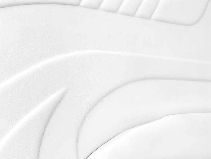 Car Door (inside panel)