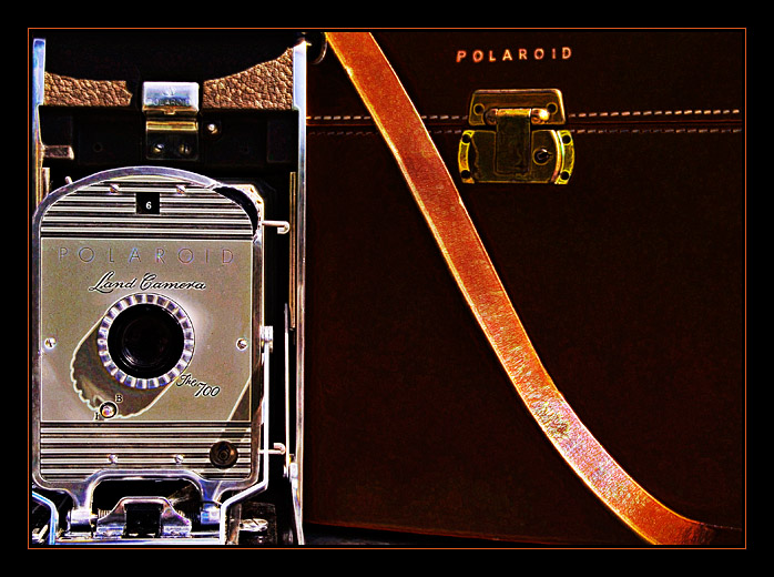 <b>10th Place</b><br>Polaroid Land Camera* <br> by mlynn