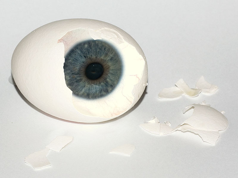 Birth of a Blue Eye<br>by Fred