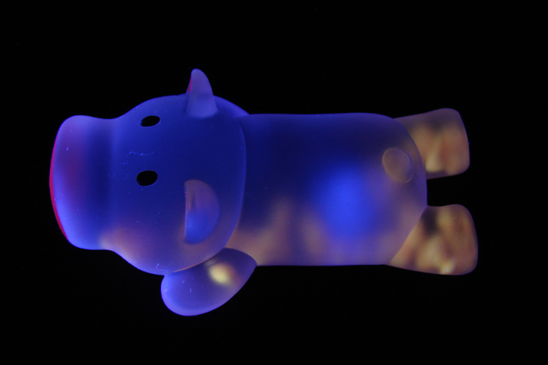 glowpig * <br> by photocat37