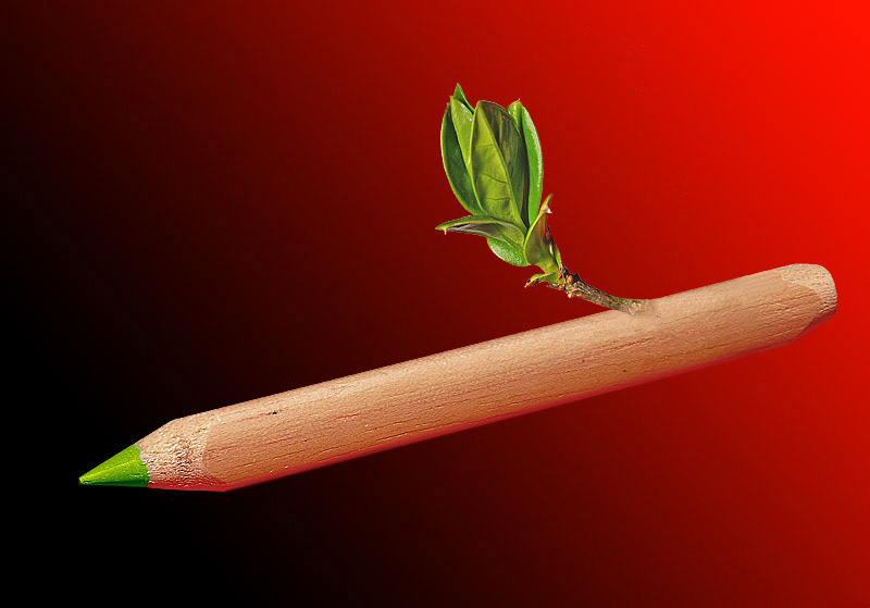 Sixth - Wood <br> by MCsaba