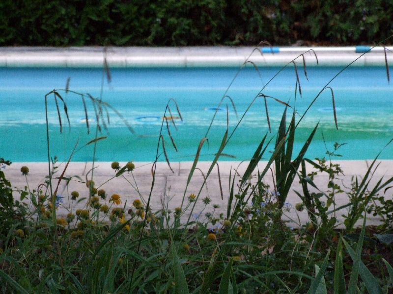 Summer Is Almost Over