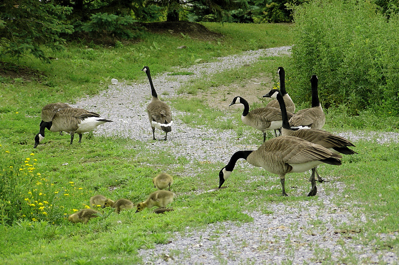 <B>OK, everybody. Lets get moving!</b>