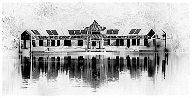 Winter Pagoda (inverse neon)<br>by John Dunn