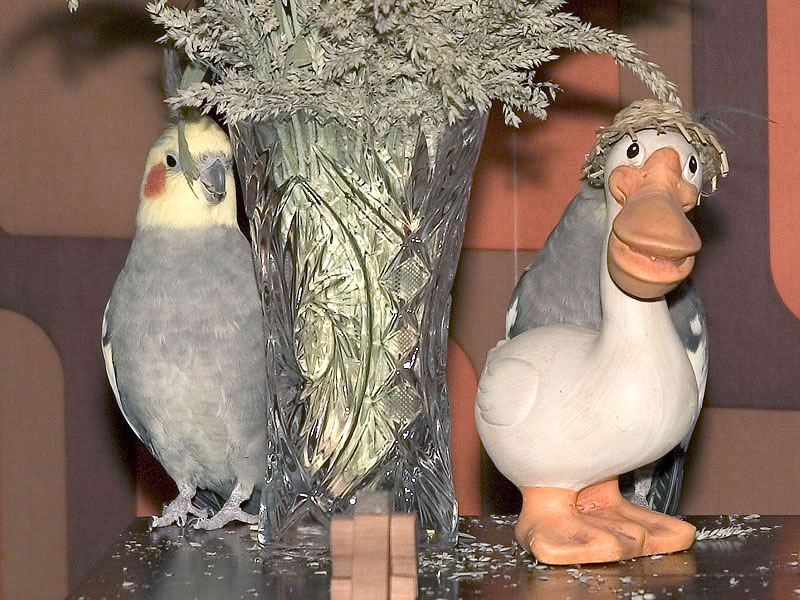 Threes a Crowd!