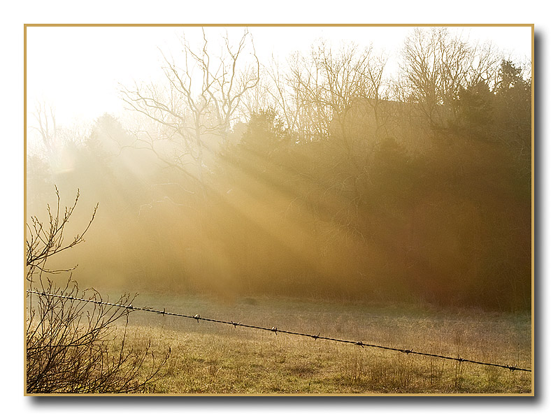 <b>9th place</b><br>lost in the fog