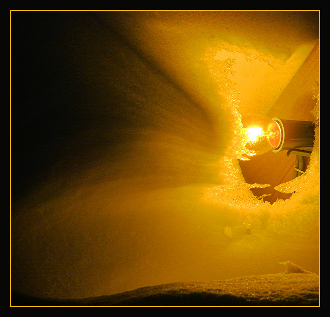 <b>7th place (tie)</b><br>Hiding in the Snow?