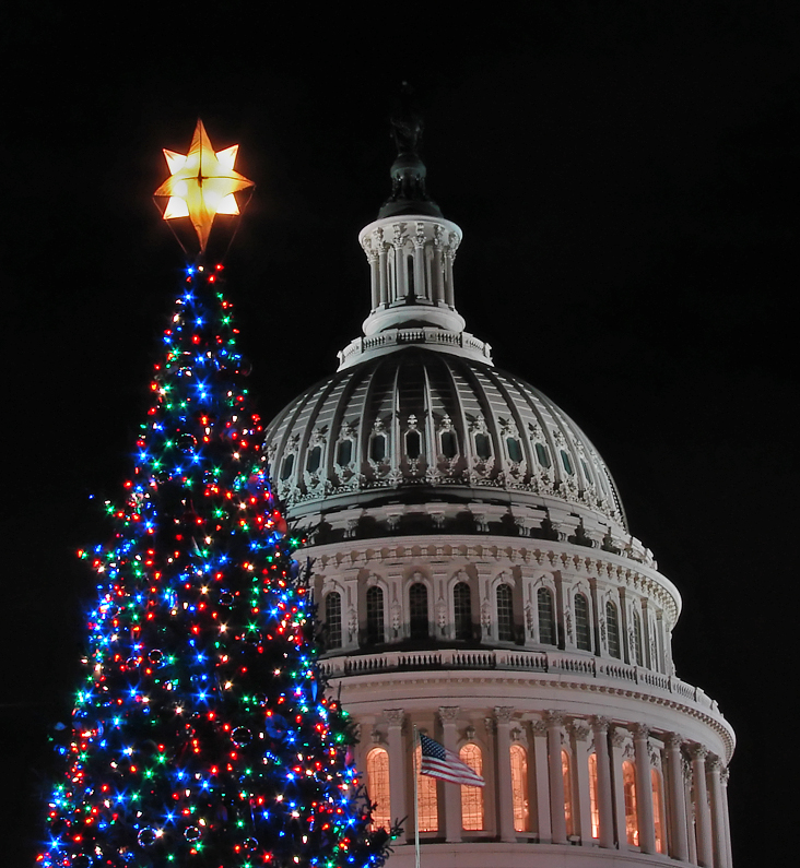 Capitol in Hiding