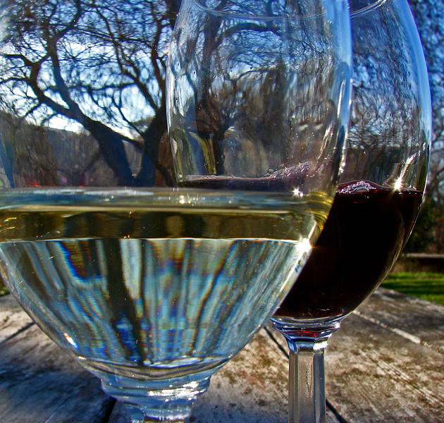 <b>5th place</b/><br><nobr>Oaks Through the Wine Glasses