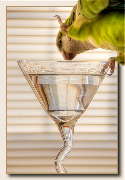 <b>8th place (tie)</b/><br>cocktail?
