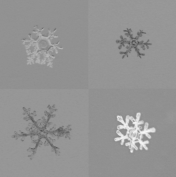 <b>10th</b><br>Snowflakes