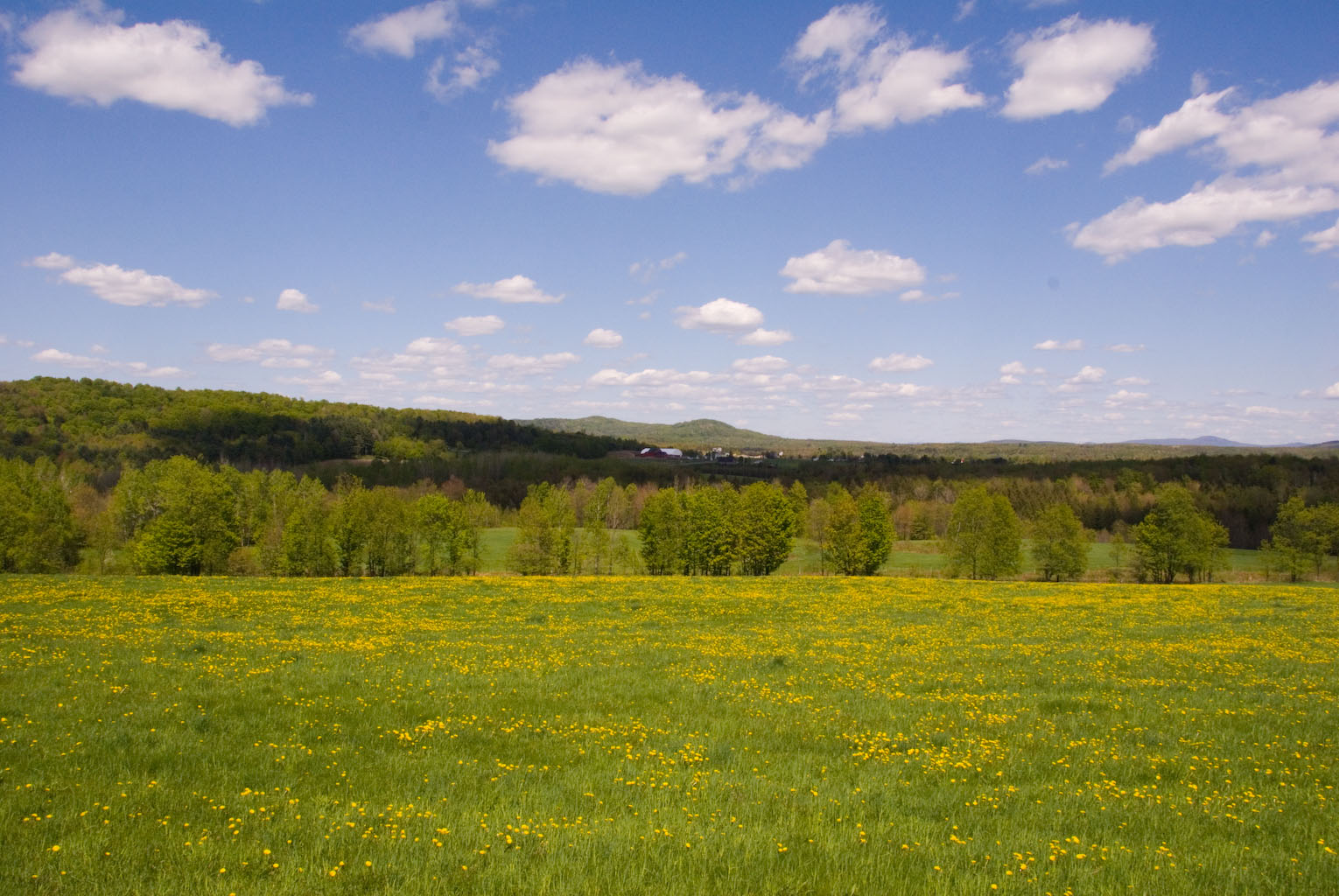 _DSC1882, Estrie, Quebec.JPG