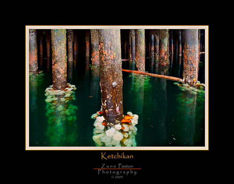 Pilings at Low Tide