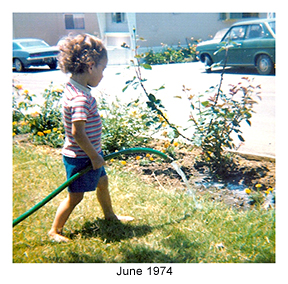 o4/07/12807/1/54741366.Sean2.jpg