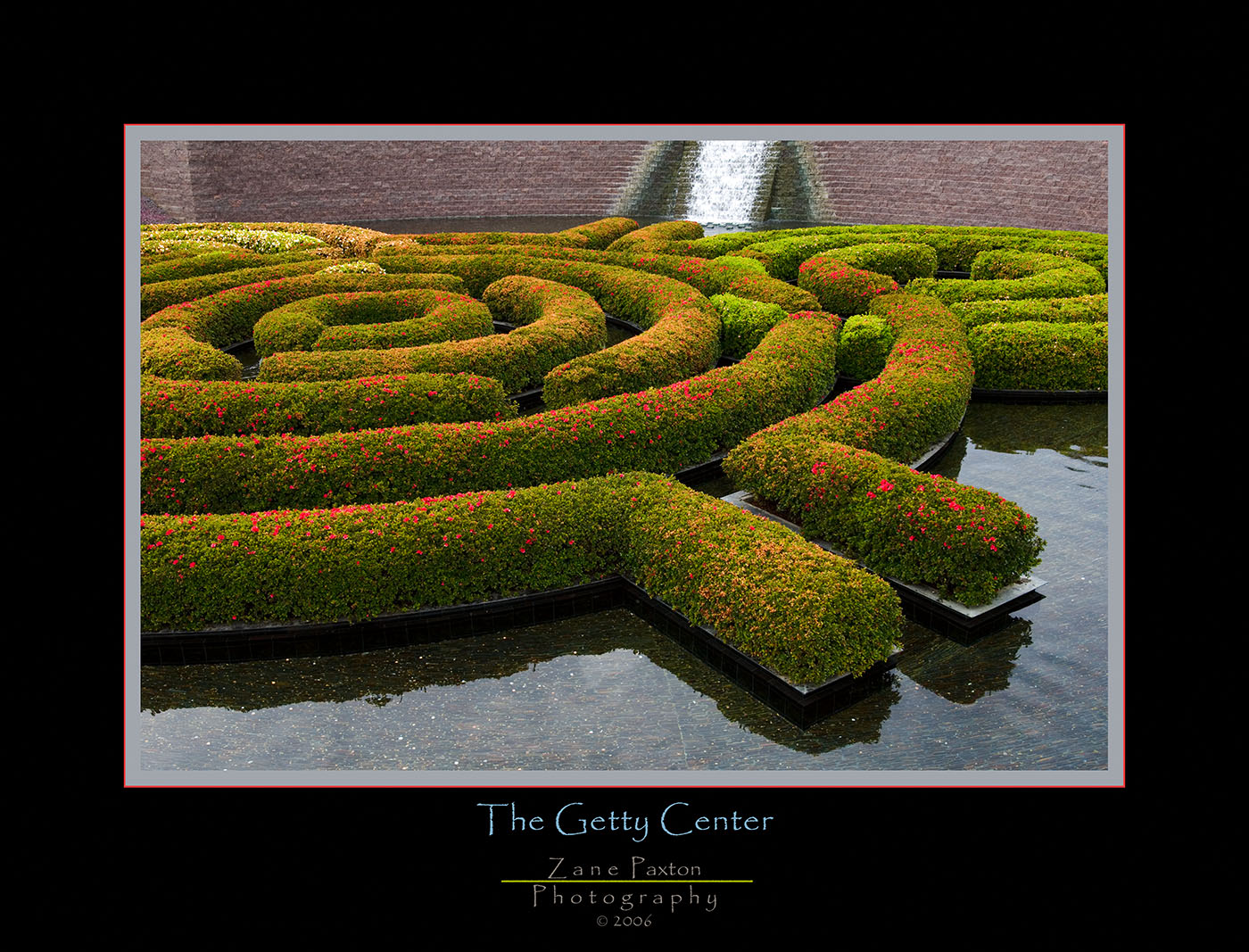 Water Garden-2