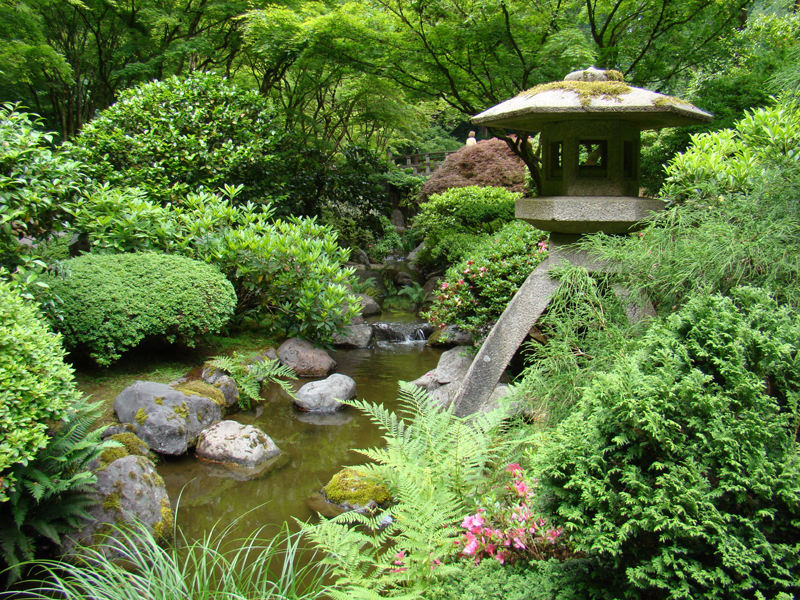 Jap Garden 5.JPG
