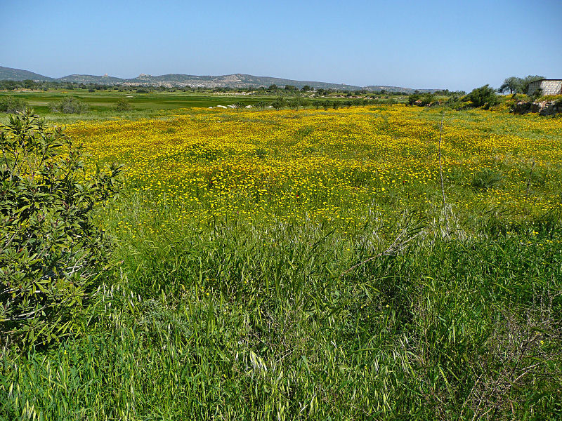 Northern Cyprus.