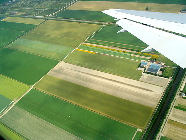 Flower fields