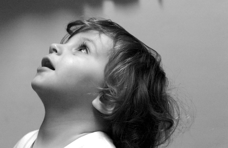 Oscar contemplates the light by jono