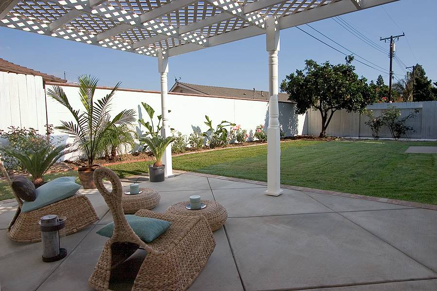 12/3: Back Yard