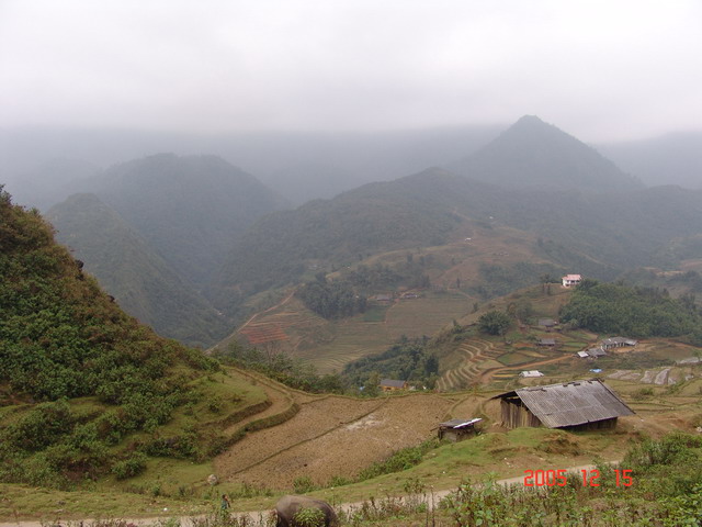 DSC00054_RS.jpg