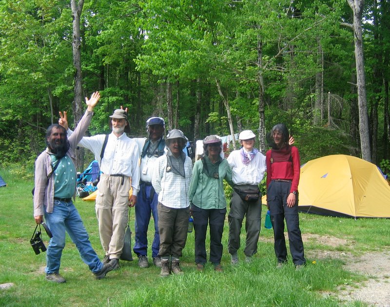 Vive le camping! et les moustiques, mouches noires et brûlots...