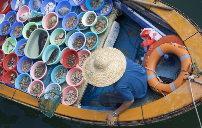 Sai Kung Floating Fish Market