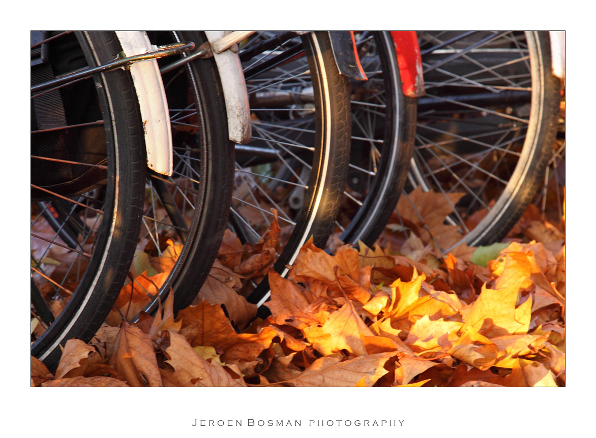 Leaving your bike behind