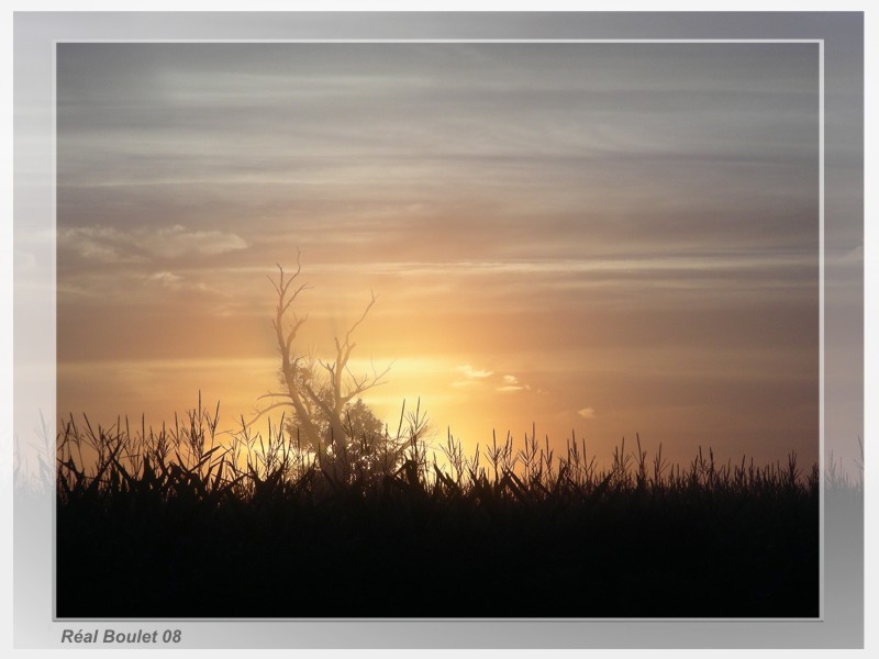 Lever soleil dans la brume - Foggy sunrise