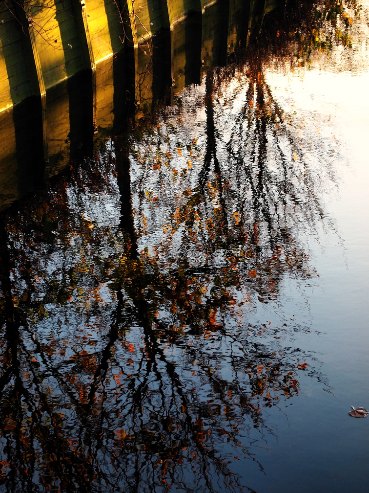 November Reflections