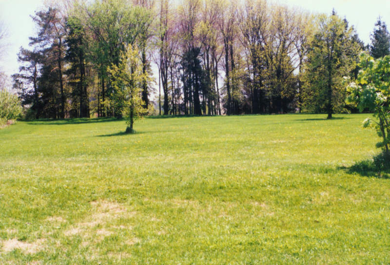 North side Ash Woods, spring 1991