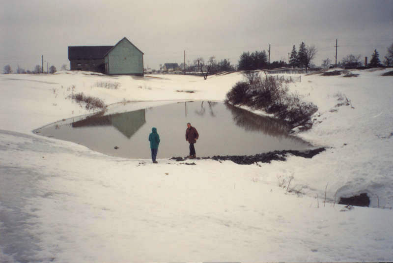 Amphibian Pond, April, 1992