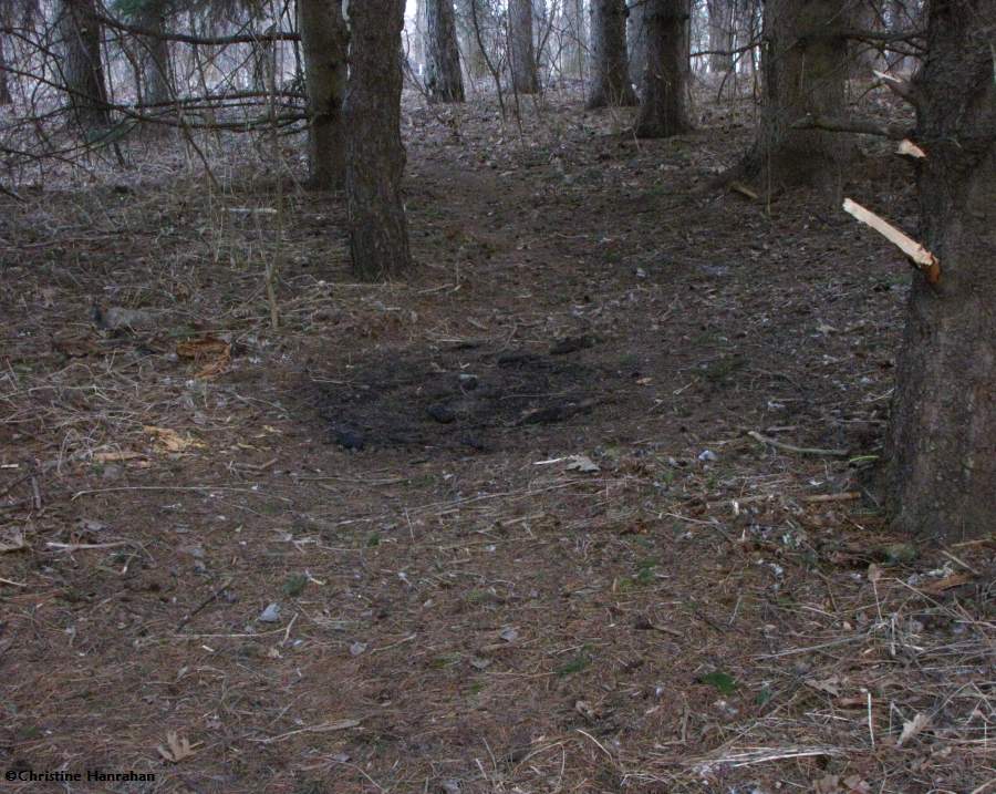 Second fire