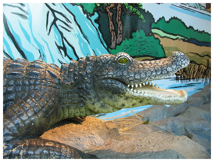 Ocean Park