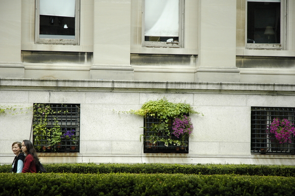 small_DSC0284.JPG