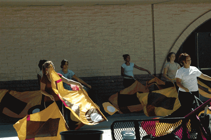 DSC_0266.gif