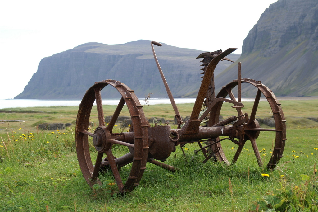Reykjafjrur