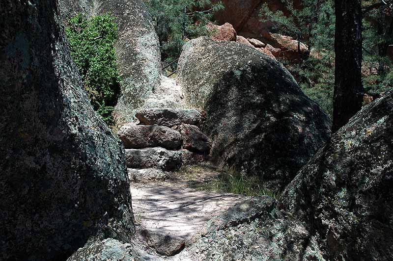 Some steps