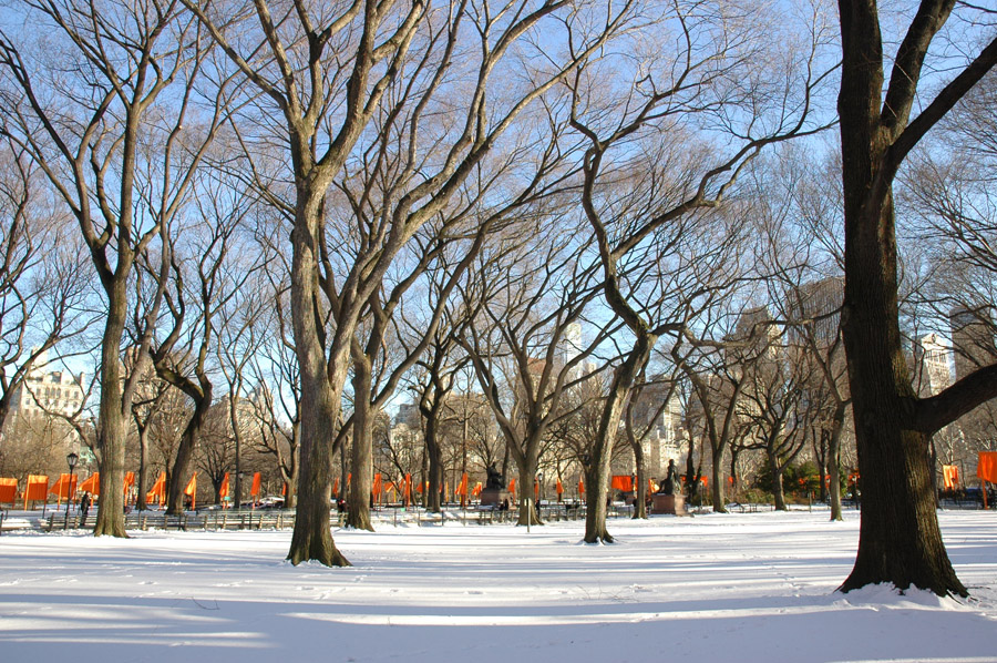 Snowy park