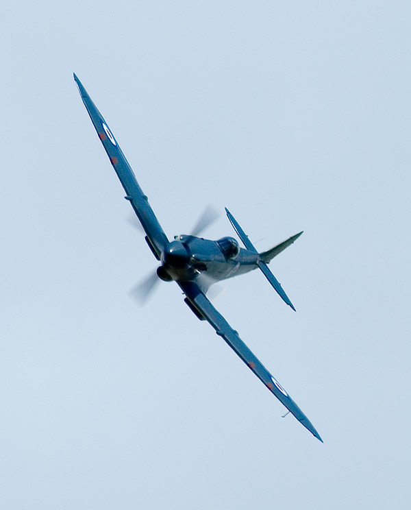 DSC_0044.jpg