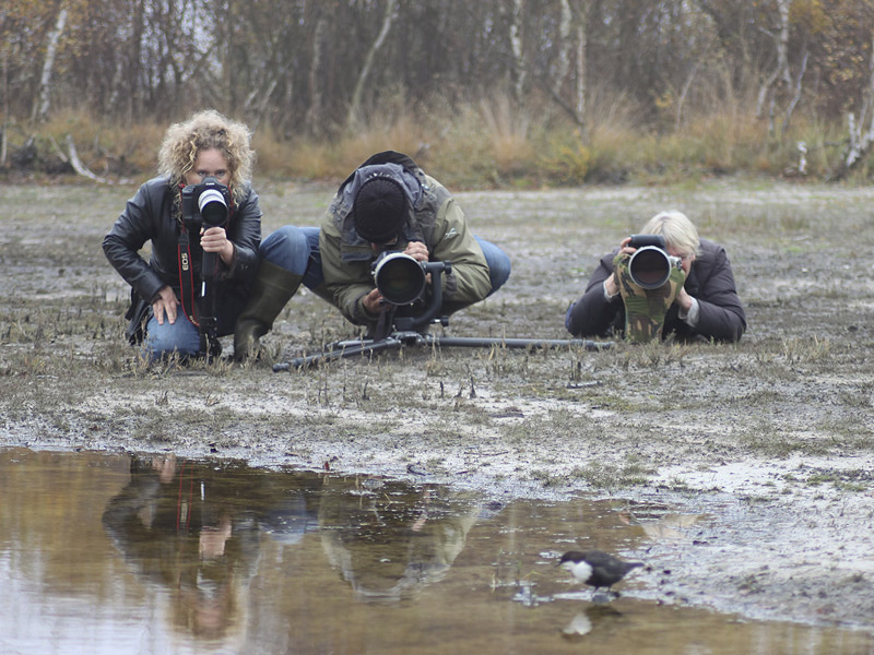 Photographing Dipper